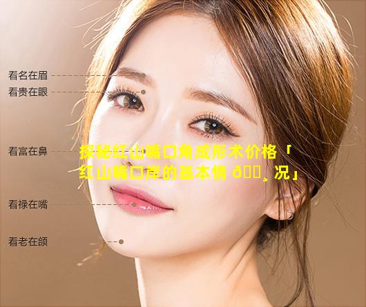 探秘红山嘴口角成形术价格「红山嘴口岸的基本情 🌸 况」